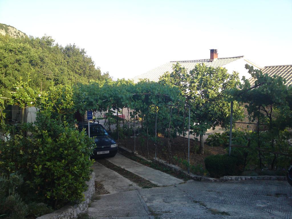 Varelija